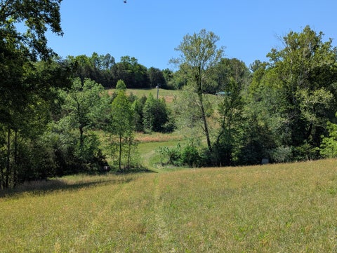 Vacant Land For Sale - TRACT A Brooks Mill Rd<br/> Glade Hill, VA 24092