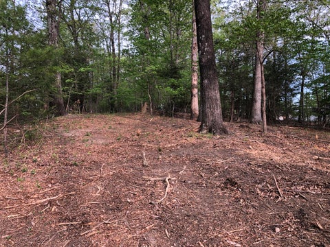 Vacant Land For Sale - 3287 Green Ridge Rd<br/> Roanoke County, Roanoke, VA 24019