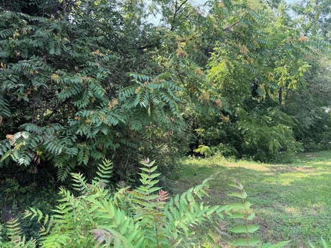 Vacant Land For Sale - 419 Gilmer Ave<br/> Roanoke City County, Roanoke, VA 24016