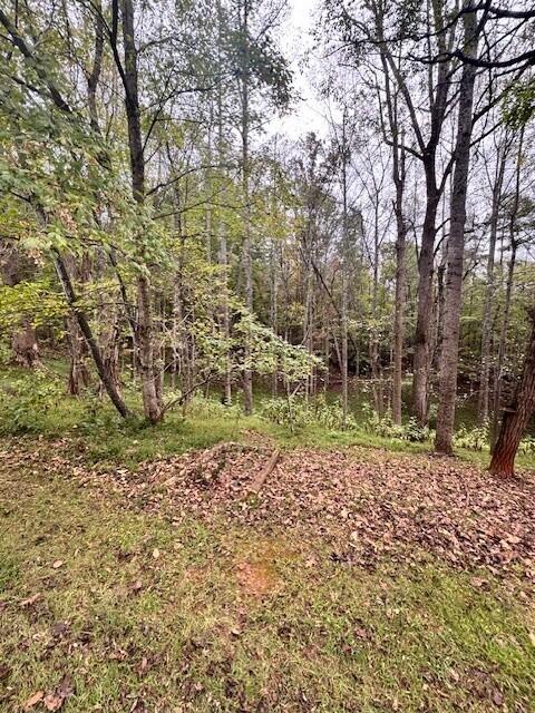 Vacant Land For Sale - Old Mill Dr<br/> Hardy, VA 24101