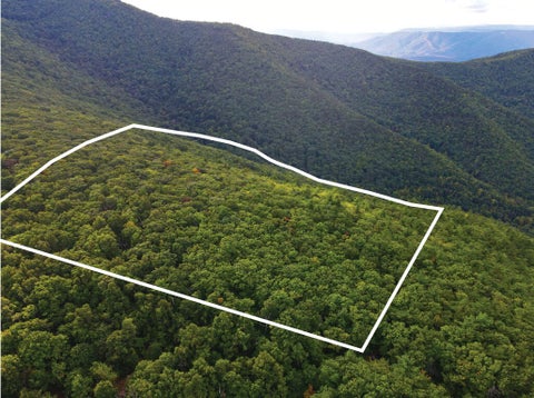 Vacant Land For Sale - Poor Mountain Rd<br/> Bent Mountain, VA 24059