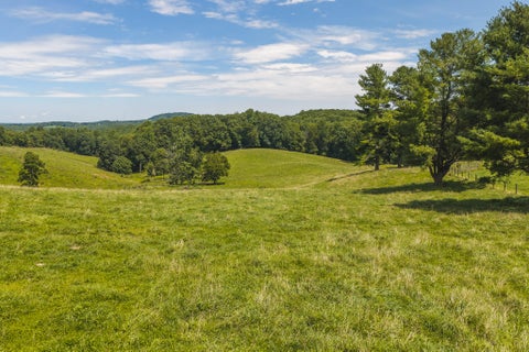 Vacant Land For Sale - LOT 2 Long Level Rd<br/> Floyd, VA 24091