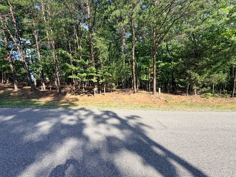 Vacant Land For Sale - LOT 77 Mountwood Dr<br/> Huddleston, VA 24104