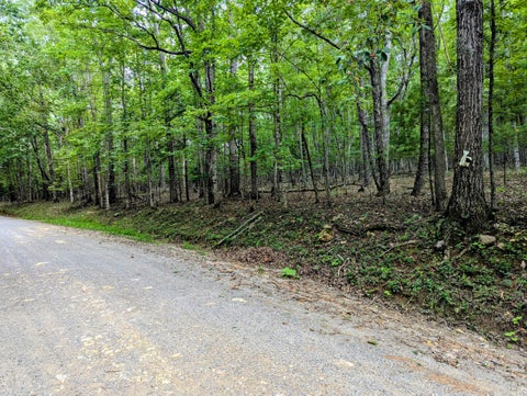 Vacant Land For Sale - TBD Cannady School Rd<br/> Floyd, VA 24091