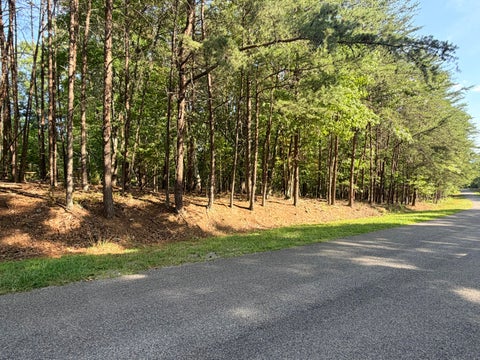 Vacant Land For Sale - LOT 78 Mountwood Dr<br/> Huddleston, VA 24104