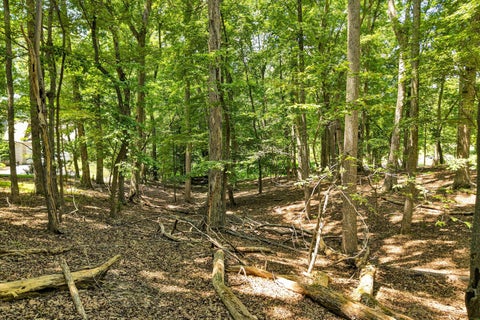 Vacant Land For Sale - LOT 218A Hunterwood Cir<br/> Penhook, VA 24137
