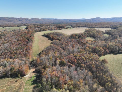 Vacant Land For Sale - Beulah Rd<br/> Rocky Mount, VA 24151