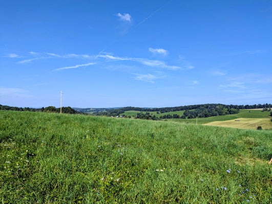 102 FLOYD HWY N, FLOYD, VA 24091 - Image c92b7fc6d03441df8f47df0e228c8c4a/4065054908