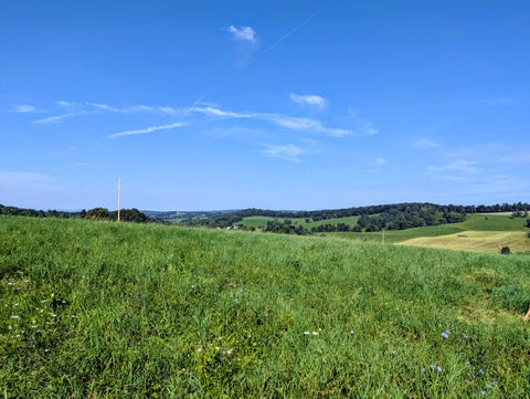 Vacant Land For Sale - LOT 3 Floyd Hwy Hwy<br/> Floyd, VA 24091