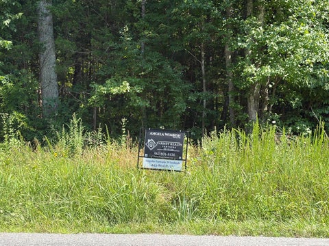 Vacant Land For Sale - Free State Rd<br/> Meherrin, VA 23954