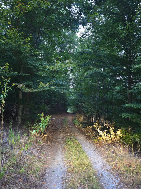 Vacant Land For Sale - Rocky Ford Rd<br/> Moneta, VA 24121