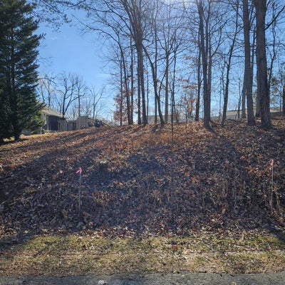 59 MACGREGOR DR, BLUE RIDGE, VA 24064 - Image d2e2bb34fc4b776b41b961dfab014069/3137568037