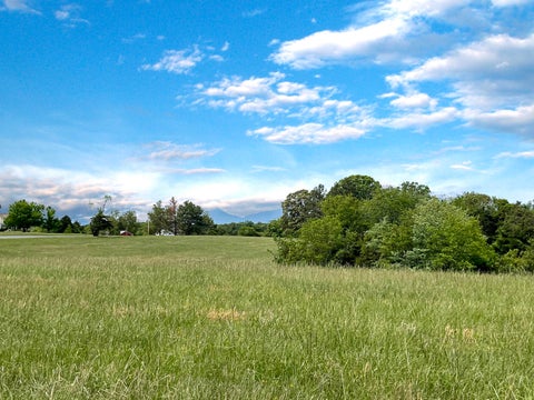 Vacant Land For Sale - 2556 Rock Cliff Rd<br/> Bedford County County, Bedford, VA 24523