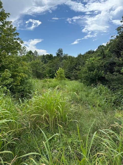 Vacant Land For Sale - Moneta Rd<br/> Bedford, VA 24523