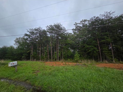 Vacant Land For Sale - 78 Horsepasture Price Rd<br/> Henry County, Ridgeway, VA 24148