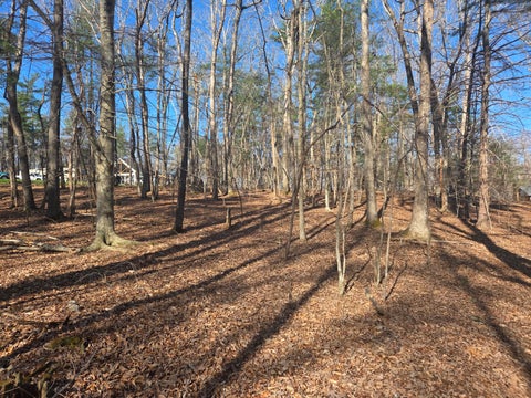 Vacant Land For Sale - Hopkins Rd<br/> Rocky Mount, VA 24151