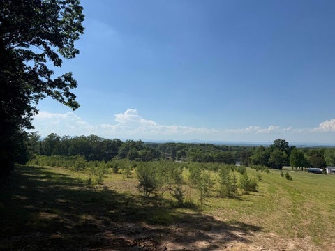 Vacant Land For Sale - 17007 A L Philpott Hwy<br/> Martinsville, VA 24112