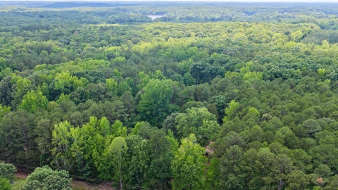 Vacant Land For Sale - 1031 Rock Church Rd<br/> Clarksville, VA 23927