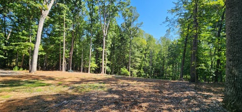 Vacant Land For Sale - 33 Key Lakewood Dr<br/> Franklin County County, Moneta, VA 24121