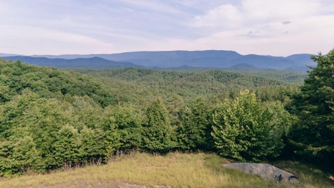 Vacant Land For Sale - 26-62B Sugar Tree Hollow Rd<br/> Eagle Rock, VA 24085