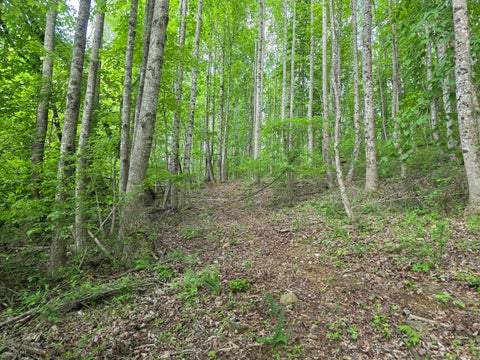 Vacant Land For Sale - TBD Bent Nail Rd<br/> Hillsville, VA 24343