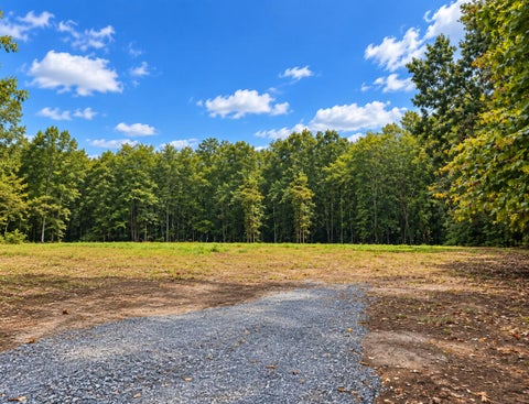 Vacant Land For Sale - Cifax Rd<br/> Bedford County, Goode, VA 24556