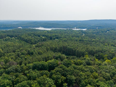 Vacant Land For Sale - 306 Runaway Bay Rd<br/> Campbell County, Lynch Station, VA 24571