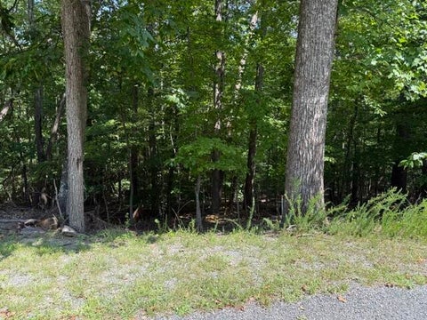 Vacant Land For Sale - Fields Ave<br/> Blue Ridge, VA 24064
