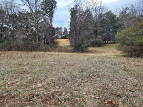 Vacant Land For Sale - Maddox Rd<br/> Gladys, VA 24554