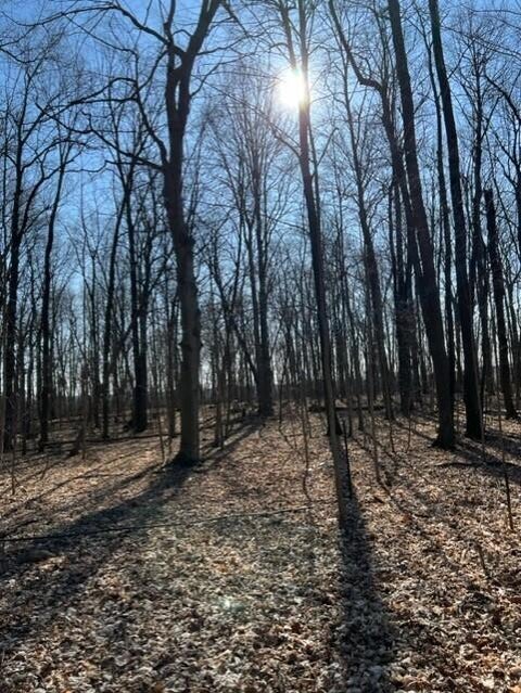 Photo for 5265 County Road 48