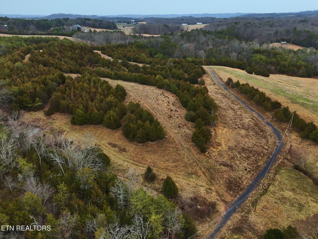 Photo of 1420 Swannsylvania Rd, Dandridge, TN 37725 (MLS # 1332425)