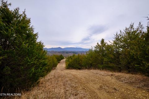 Tiny photo for 1420 Swannsylvania Rd, Dandridge, TN 37725 (MLS # 1332425)