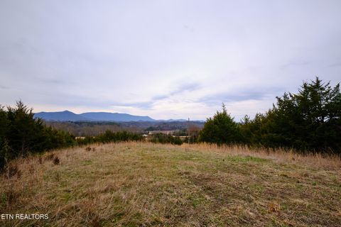 Tiny photo for 1420 Swannsylvania Rd, Dandridge, TN 37725 (MLS # 1332425)