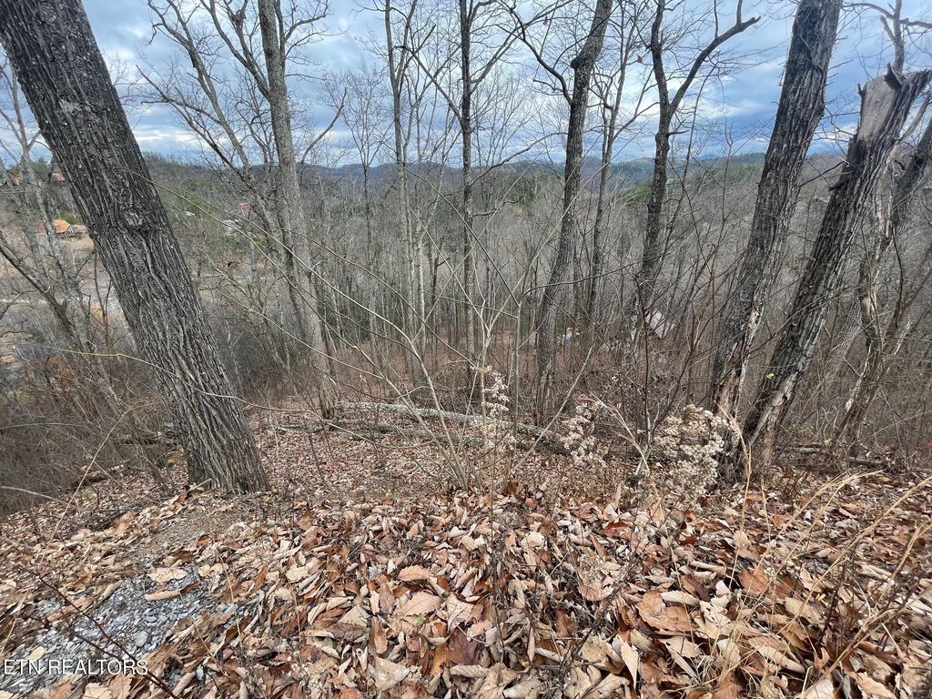 Photo of 99 Dolly South Drive, Sevierville, TN 37876 (MLS # 1250605)