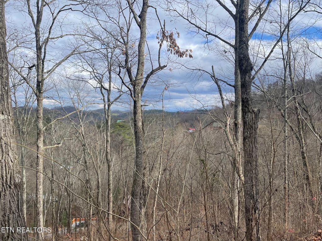 Photo of 99 Dolly South Drive, Sevierville, TN 37876 (MLS # 1250605)