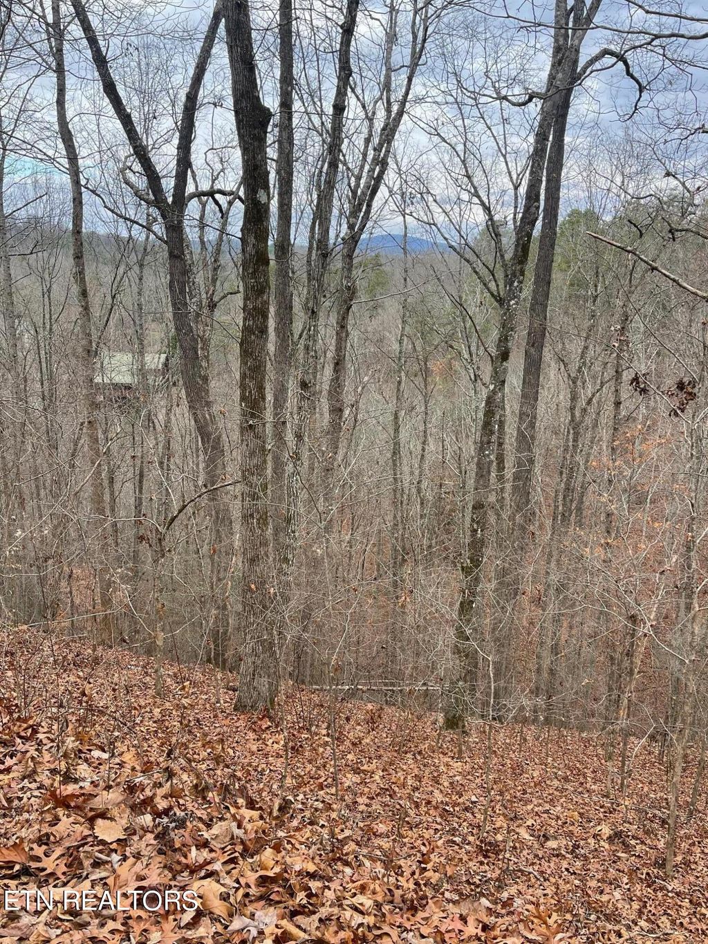 Photo of 99 Dolly South Drive, Sevierville, TN 37876 (MLS # 1250605)