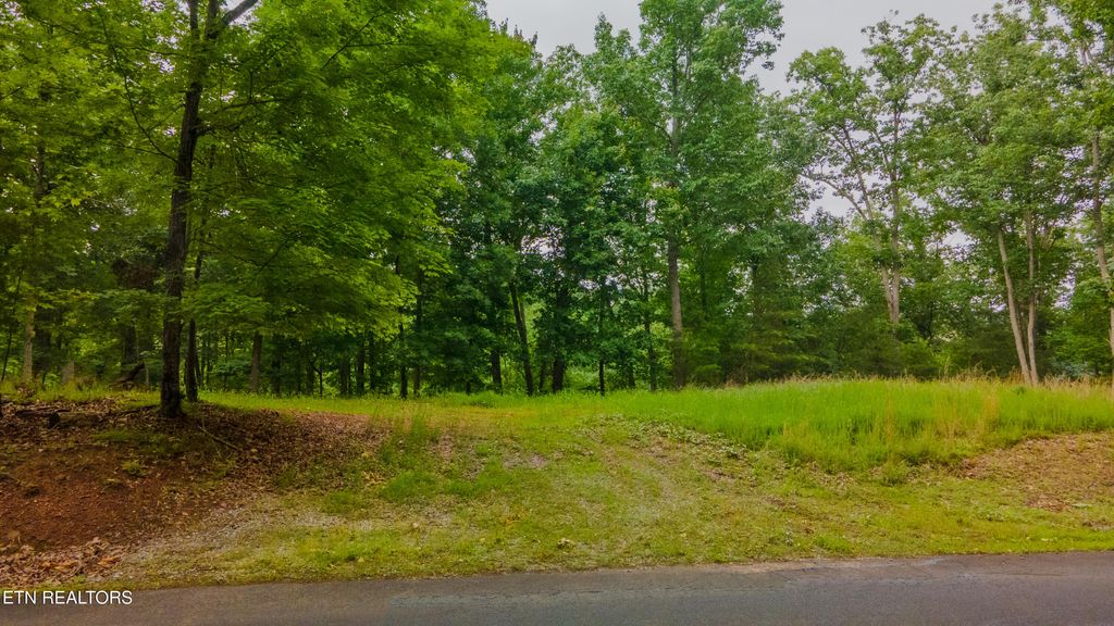 Photo of 323 Chelaque Way, Mooresburg, TN 37811 (MLS # 1303602)
