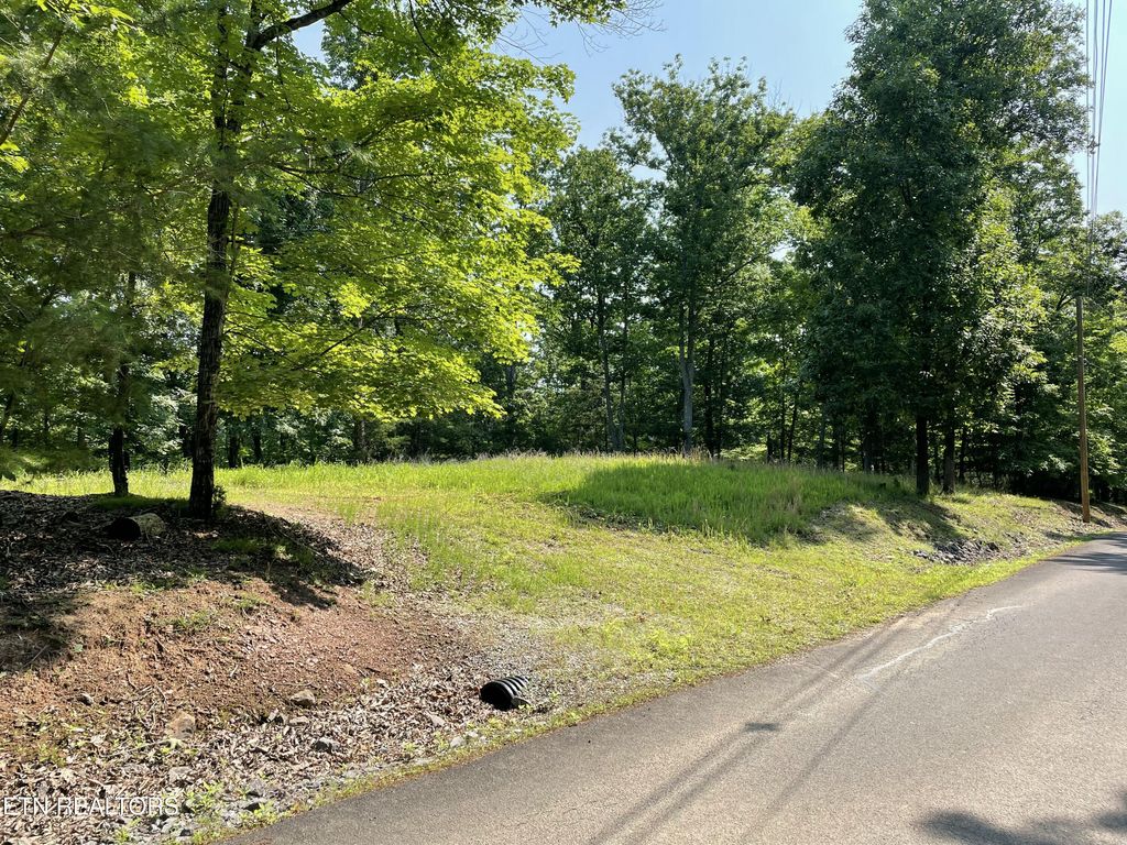 Photo of 323 Chelaque Way, Mooresburg, TN 37811 (MLS # 1303602)