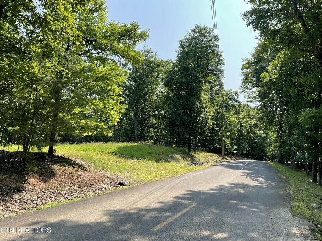 Photo of 323 Chelaque Way, Mooresburg, TN 37811 (MLS # 1303602)