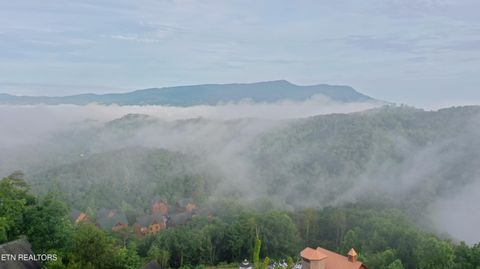 Tiny photo for 936 Black Bear Cub Way, Sevierville, TN 37862 (MLS # 1325810)