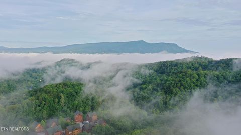 Tiny photo for 936 Black Bear Cub Way, Sevierville, TN 37862 (MLS # 1325810)