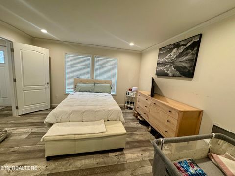 Tiny photo for 3616 Plaza Way, Pigeon Forge, TN 37863 (MLS # 1332554)