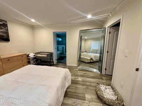 Tiny photo for 3616 Plaza Way, Pigeon Forge, TN 37863 (MLS # 1332554)