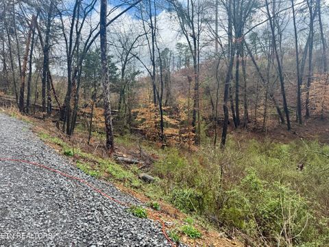 Tiny photo for 3616 Plaza Way, Pigeon Forge, TN 37863 (MLS # 1332554)