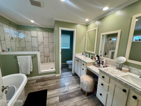 Tiny photo for 3616 Plaza Way, Pigeon Forge, TN 37863 (MLS # 1332554)