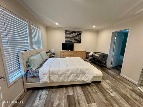 Tiny photo for 3616 Plaza Way, Pigeon Forge, TN 37863 (MLS # 1332554)