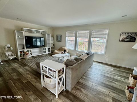 Tiny photo for 3616 Plaza Way, Pigeon Forge, TN 37863 (MLS # 1332554)