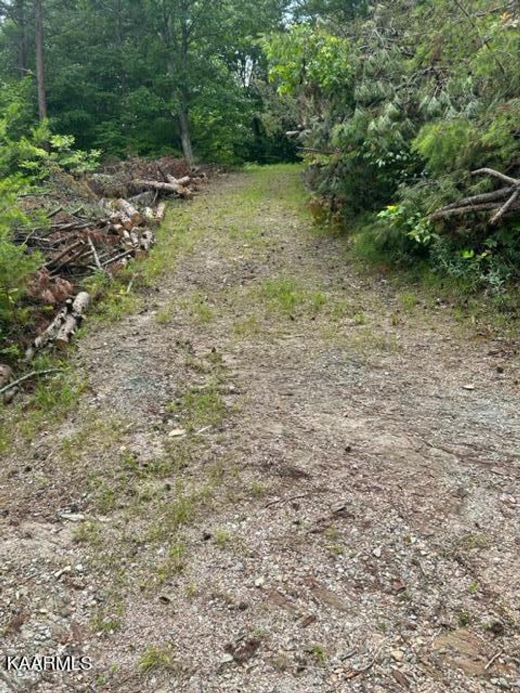 Photo of 000 Smithfield Rd, Tellico Plains, TN 37385 (MLS # 1233475)