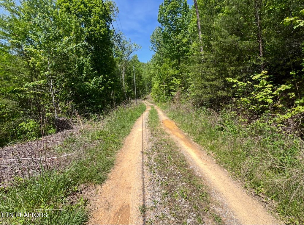 Photo of 50 Yellowwood Drive, Sevierville, TN 37876 (MLS # 1302501)