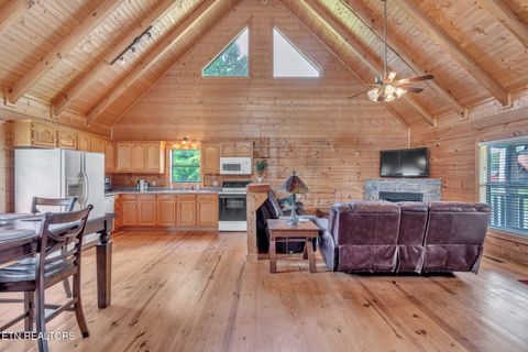 Tiny photo for 319 Four Mile Creek Rd, Deer Lodge, TN 37726 (MLS # 1329731)